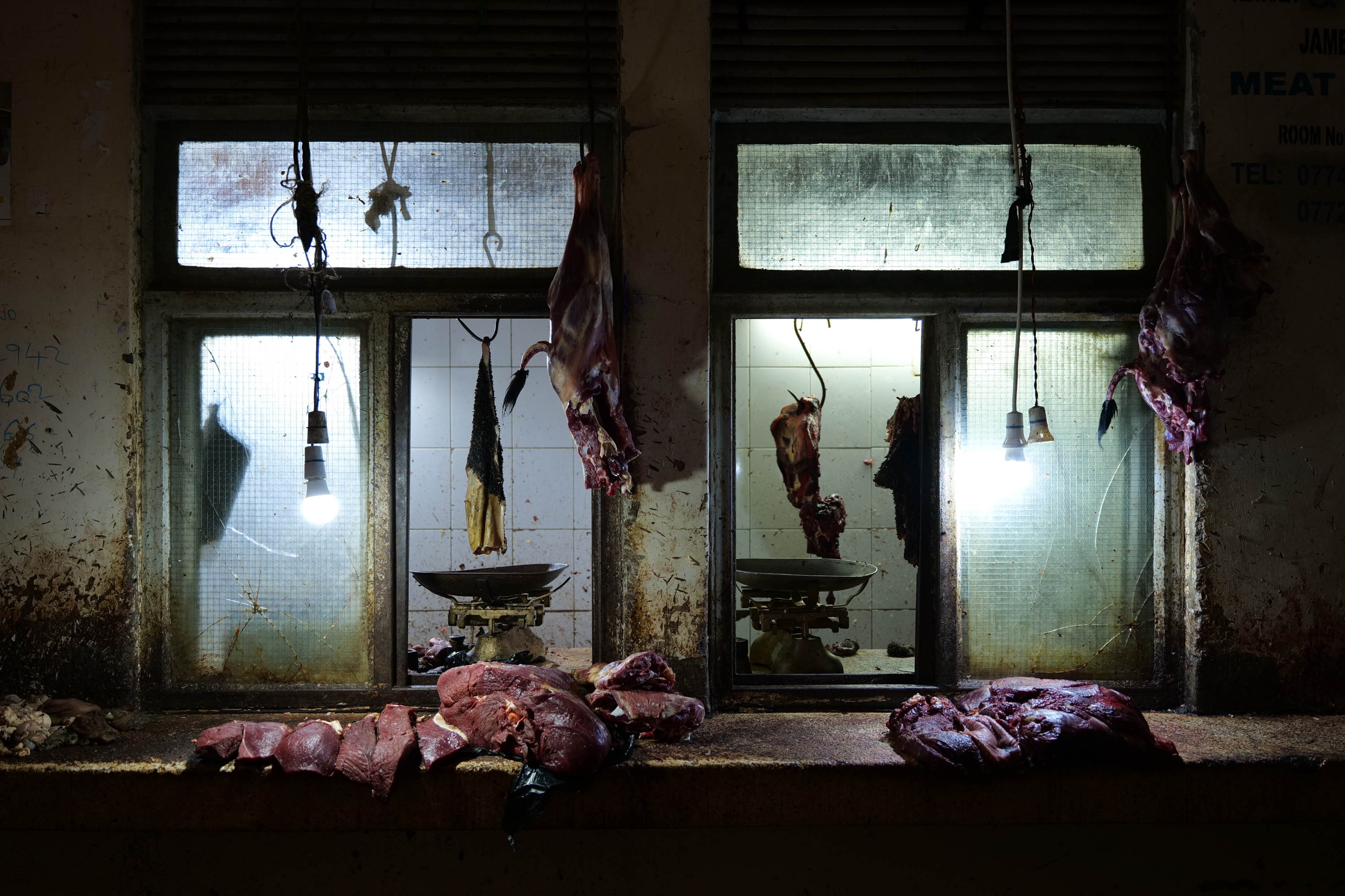 Agustin Marquez Photo