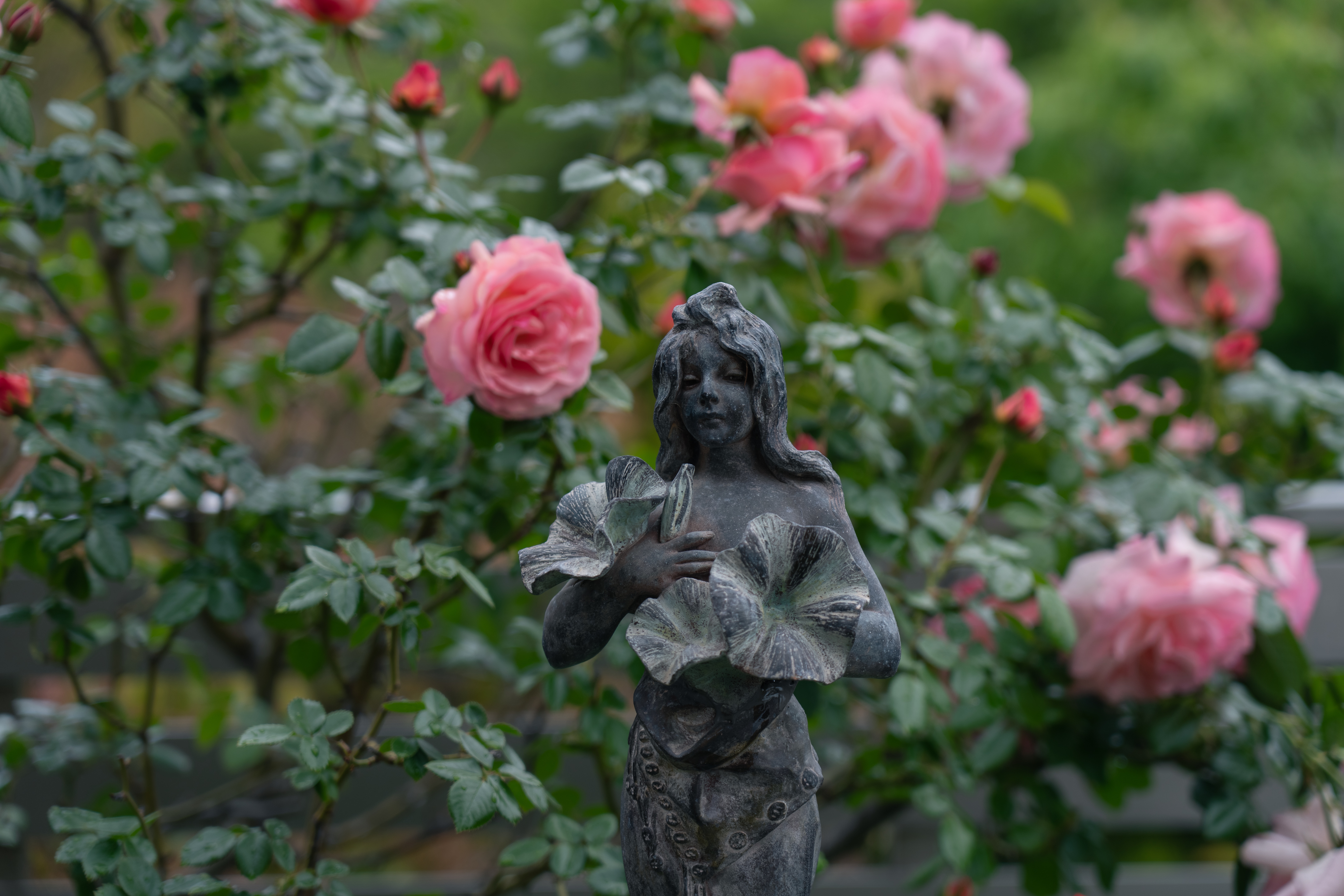 Agustin Marquez Photo